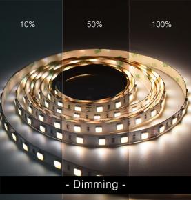 60LEDs SMD5050 LED Strip CCT
