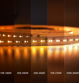 224LEDs SMD2216 LED Strip DIM TO WARM