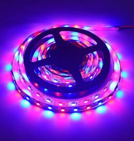 60LEDs 60Pixels Digital LED Strip